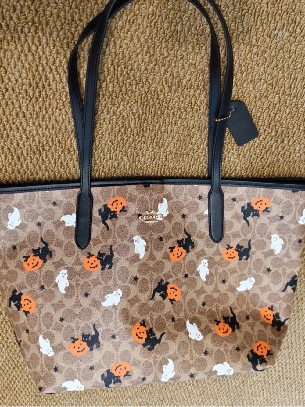 Coach canvas background signature